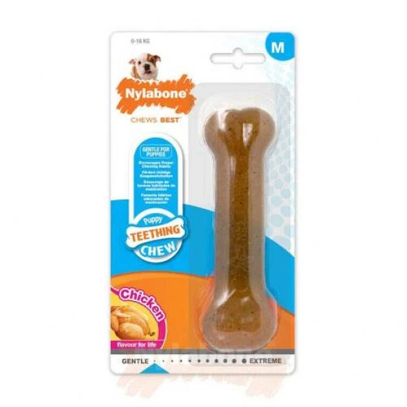 Nylabone Tavuk Aromalı Yavru Köpek Çiğneme Kemiği M