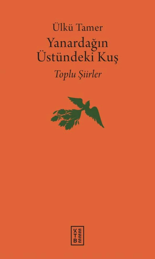 Yanardağın Üstündeki Kuş (Ciltli) - 1