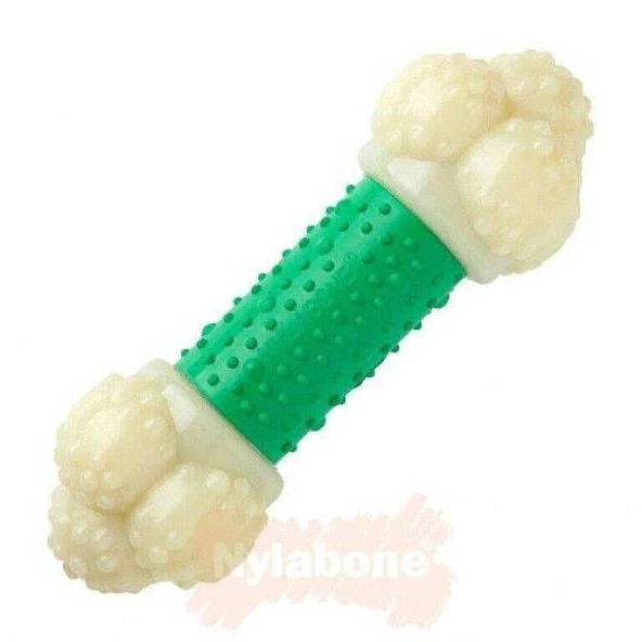Nylabone Domuz Pastırması Aromalı Köpek Çiğneme Kemiği S - 2