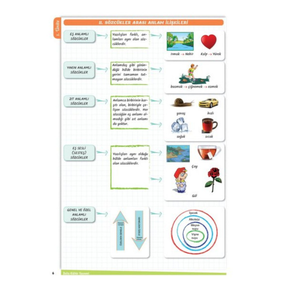 Hızlı-KOLAY LGS Seti (4 SÜPER ÖZET Kitap) - 6