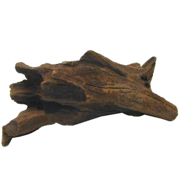 Mangrov Kökü Akvaryum Mango Kökü 35-40 Cm - Resim 2