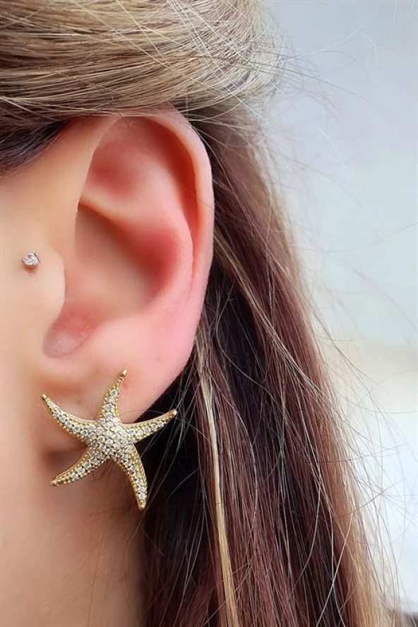 Zirkon Taş Detaylı 925Ayar Gümüş Üzerine Altın Kaplama İtalyan Deniz Yıldızı Figürlü Küpe ürün görseli