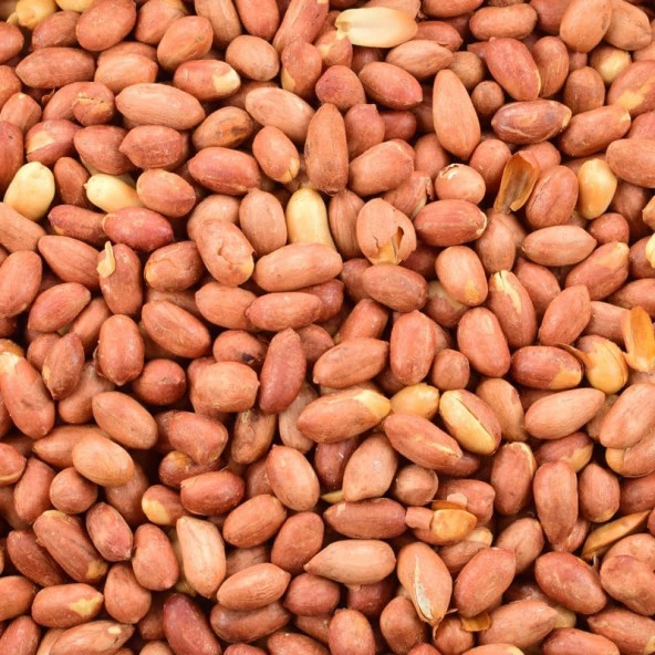 Yazar Kuruyemiş Fıstık İçi Sade  1 Kg - 2