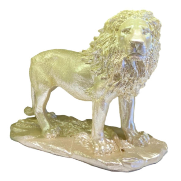 ASLAN BİBLO HF248-1 ürün görseli