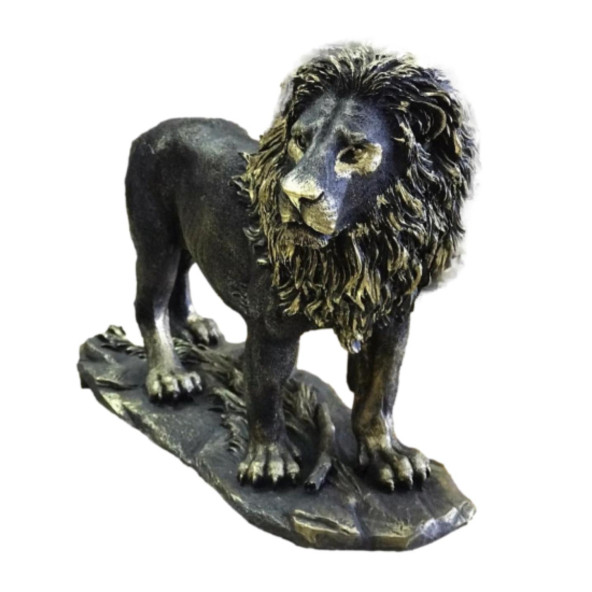 ASLAN BİBLO HF248-3 ürün görseli