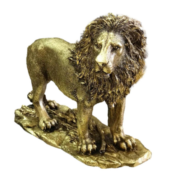 ASLAN BİBLO HF248-4 ürün görseli