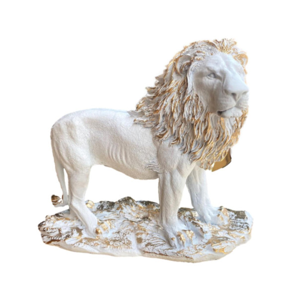 ASLAN BİBLO HF248-6 ürün görseli