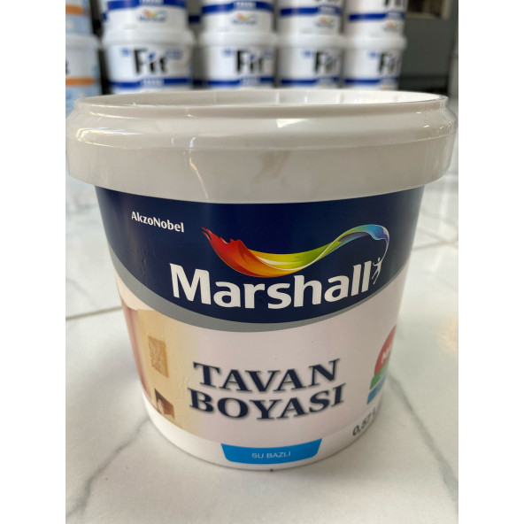 MARSHALL TAVAN BOYASI 1 KG