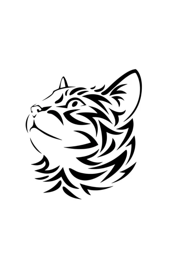Hırçın Kedi Oto Motor Laptop Duvar Folyo Sticker 25 x 27