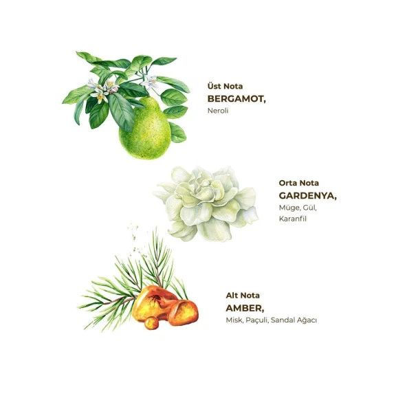 Eyüp Sabri Tuncer Gardenya Kolonyası 200 ml - Cam Şişe - 4