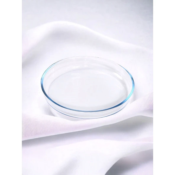 Girist Broart Isıya Dayanıklı Büyük Boy Sade Cam Tepsi Buz Mavisi - 2