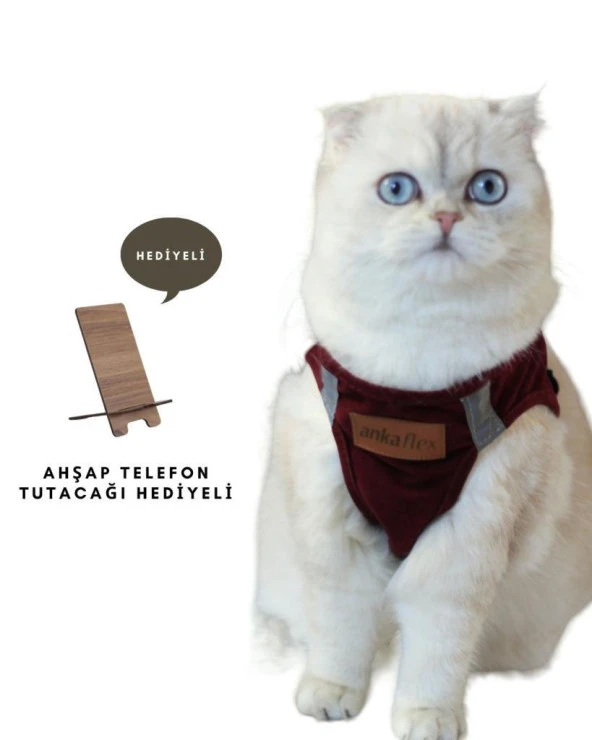 Kedi Göğüs Tasması Kedi Gezdirme Tasması Kediler İçin Özel Üretim Yeni Nesil - 2