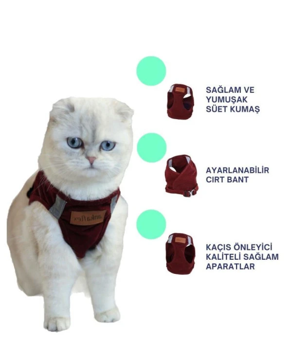 Kedi Göğüs Tasması Kedi Gezdirme Tasması Kediler İçin Özel Üretim Yeni Nesil - 7