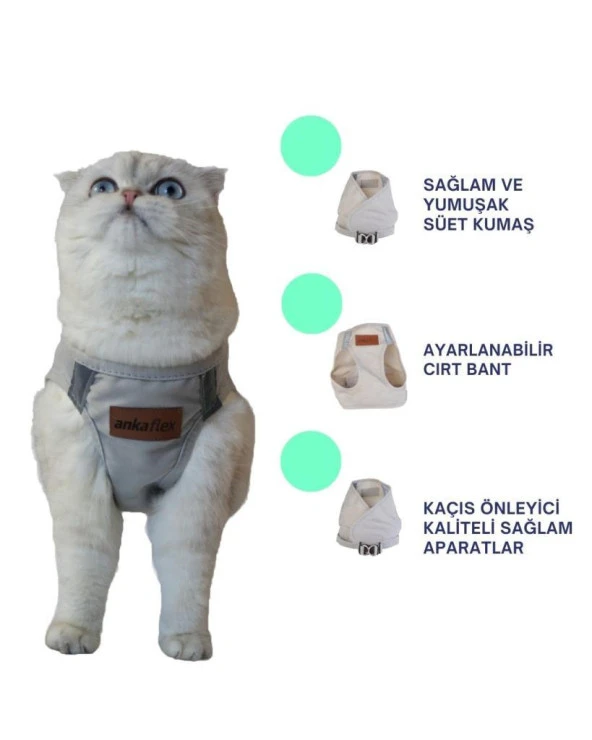 Kedi Göğüs Tasması Kedi Gezdirme Tasması Kediler İçin Özel Üretim Yeni Nesil - 8