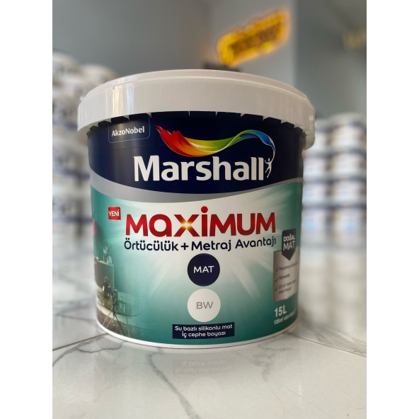 Marshall MAXİMUM MAT 15 L