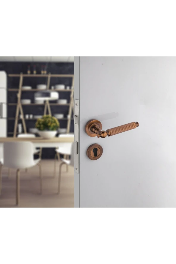 Hanedan Çizgili Rozetli Antik Sarı Yale Kapı Kolu Sol Aşağı Basar Tek Yön - Resim 2