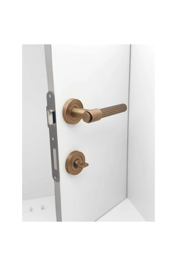 Erva Handles ZK79 Mat Antik Sarı Rozetli Wc Banyo Kapı Kolu 1 Takım - Resim 2