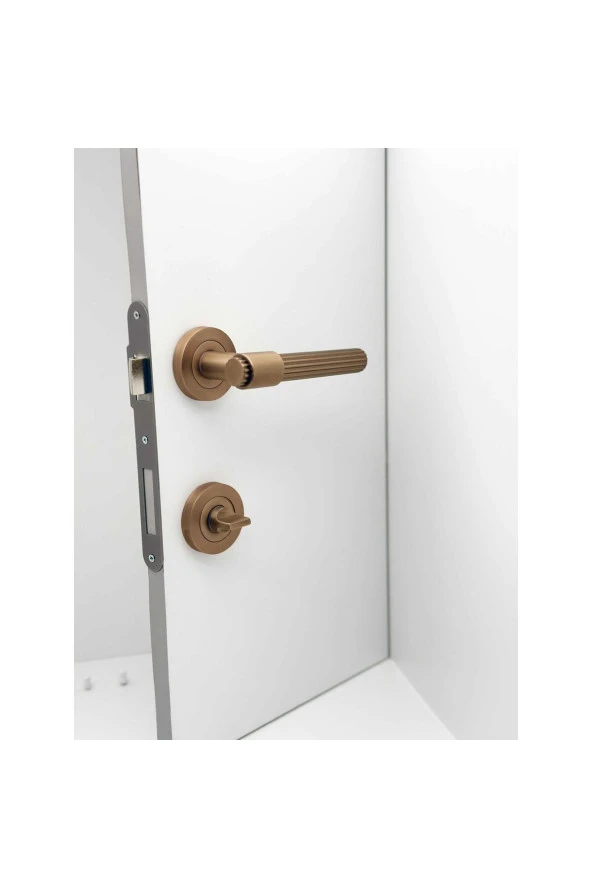 Erva Handles ZK79 Mat Antik Sarı Rozetli Wc Banyo Kapı Kolu 1 Takım - Resim 3