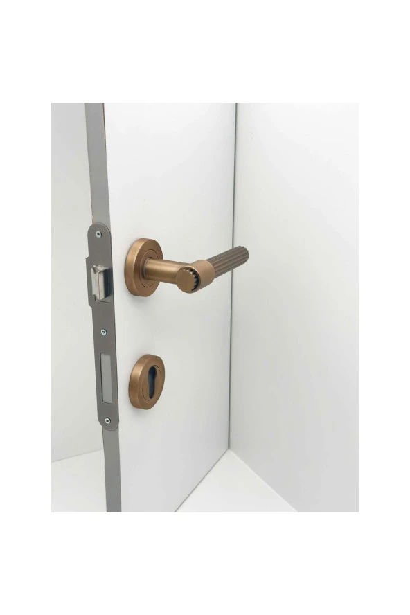 Erva Handles ZK79 Mat Antik Sarı Rozetli Yale Çelik Kapı Kolu 1 Takım - Resim 2