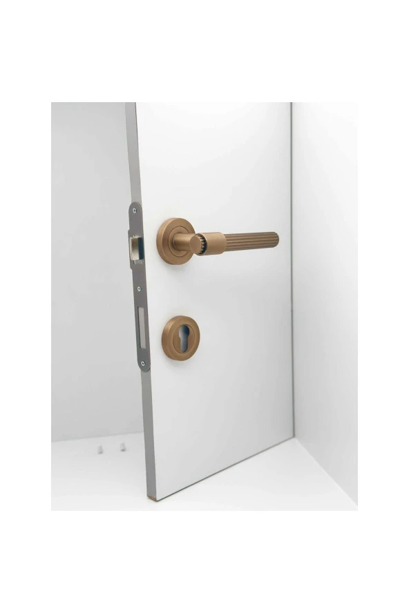 Erva Handles ZK79 Mat Antik Sarı Rozetli Yale Çelik Kapı Kolu 1 Takım - Resim 3