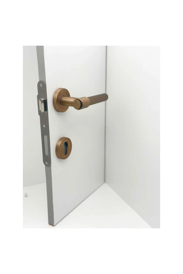 Erva Handles ZK79 Mat Antik Sarı Rozetli Yale Çelik Kapı Kolu 1 Takım - Resim 4