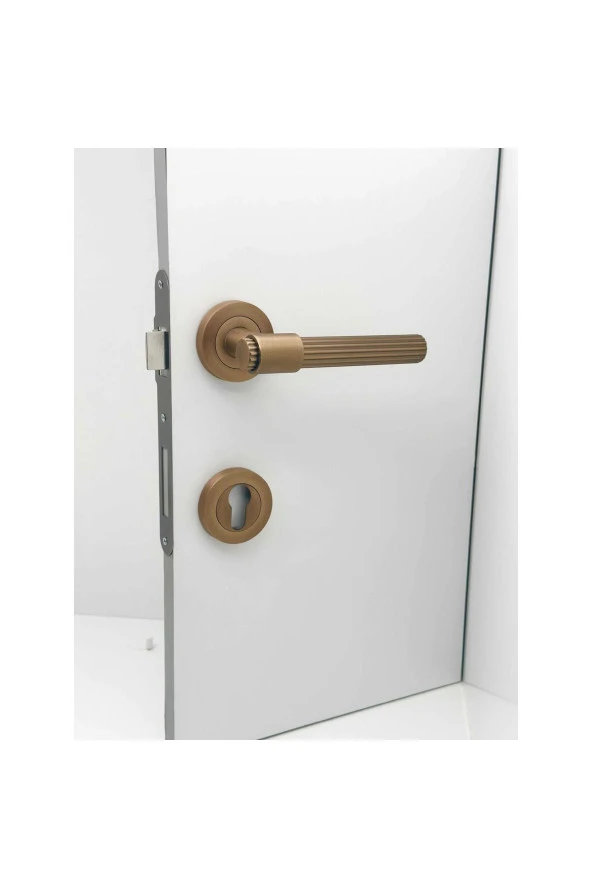 Erva Handles ZK79 Mat Antik Sarı Rozetli Yale Çelik Kapı Kolu 1 Takım - Resim 5