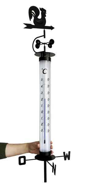 TFA Horoz Rüzgar Güllü Bahçe Termometresi - 4