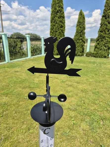 TFA Horoz Rüzgar Güllü Bahçe Termometresi - 6