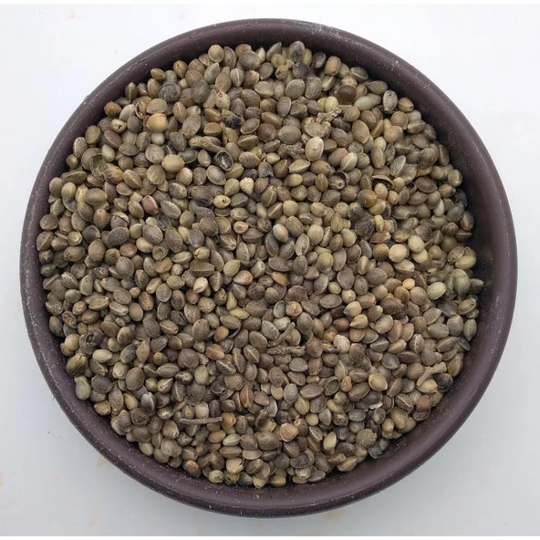 Kendir Kenevir Tohumu 250g - Resim 2