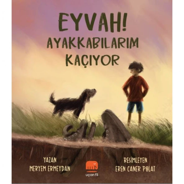 Eyvah! Ayakkabılarım Kaçıyor