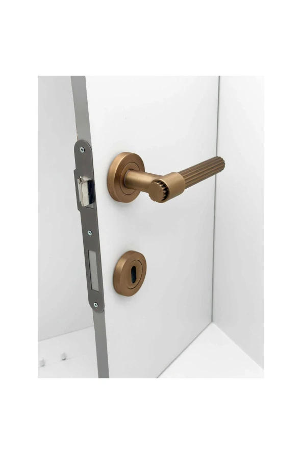 Erva Handles ZK79 Mat Antik Sarı Rozetli Oda Kapı Kolu 4 Takım - Resim 5