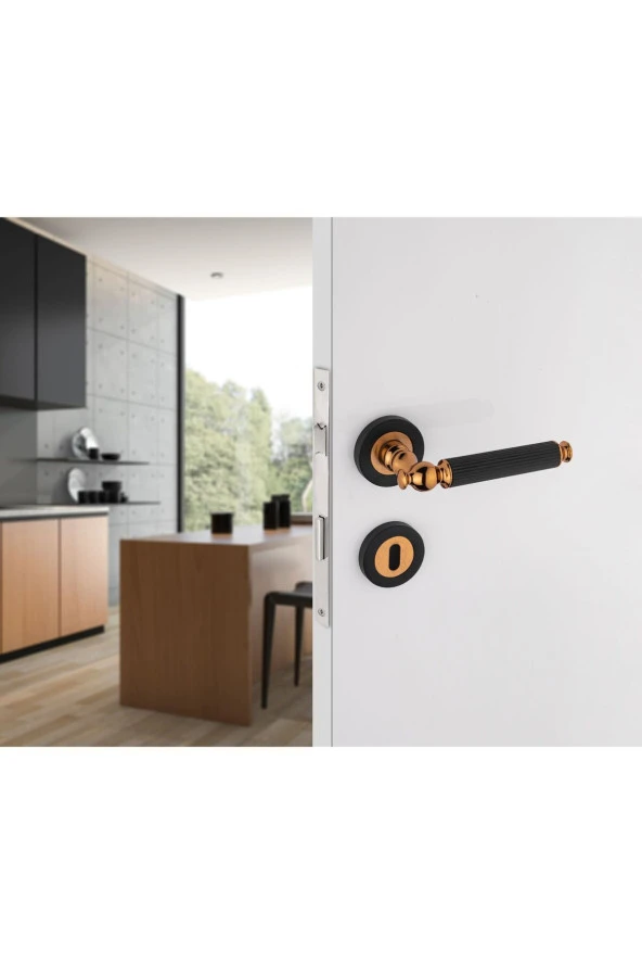 Hanedan Çizgili Rozetli Albirifin Siyah Oda Kapı Kolu Koldoor 5 Takım - Resim 2