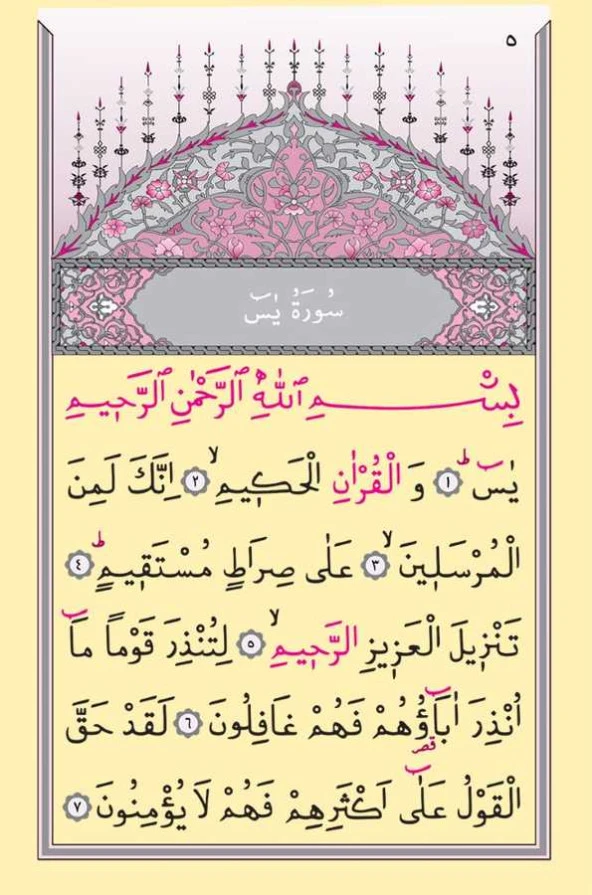 Cep Boy Süet Mealli Yasin Cüzü (Pudra Pembe, ElifVavlı) - Resim 4