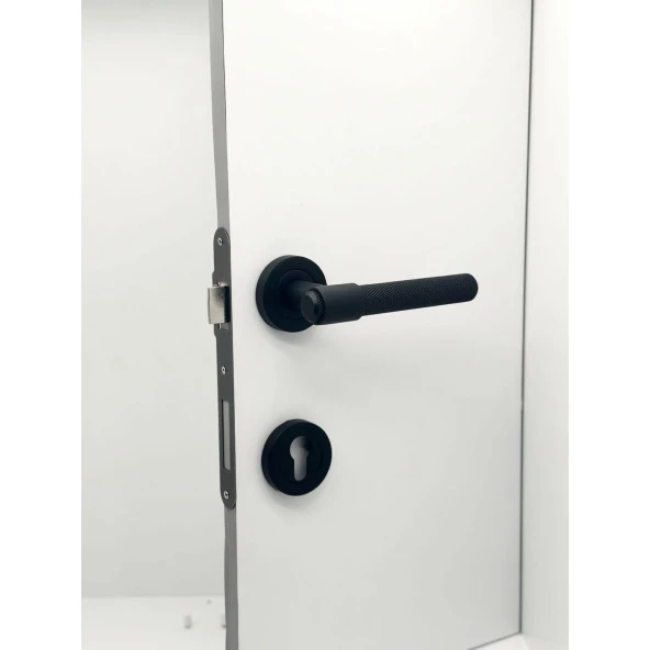 Punch Mat Siyah Rozetli Yale Çelik Kapı Kolu Sağ Basar Tek Yön ürün görseli