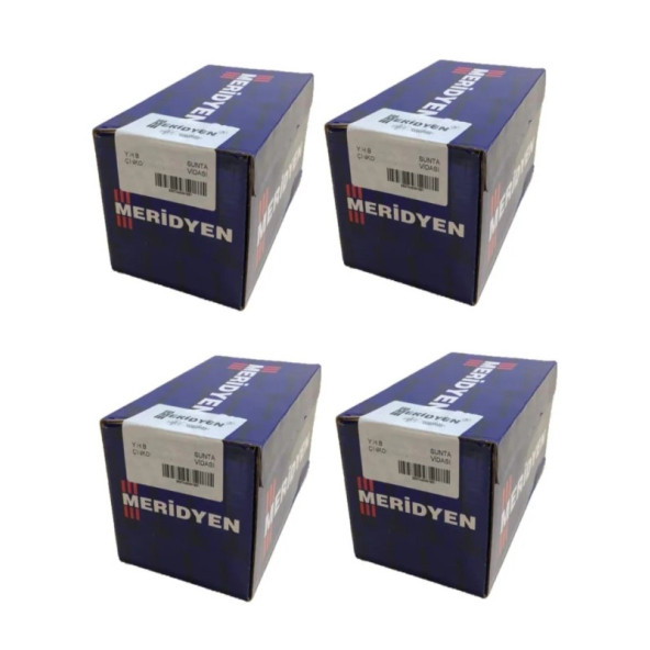 Meridyen Sunta vidası 4.0x45 2000 Adet (4 Paket)