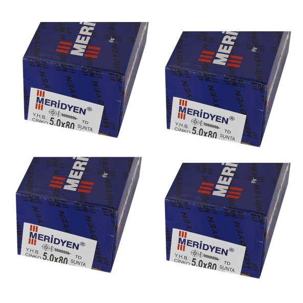 Meridyen Sunta vidası 5.0x80 800 Adet (4 Paket) ürün görseli 1