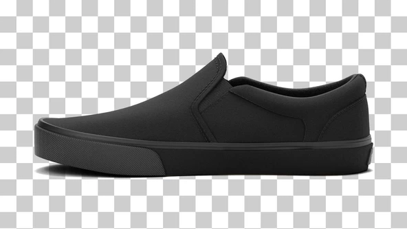 Vans MN Asher Erkek Ayakkabısı VN000SEQ1861 - 2
