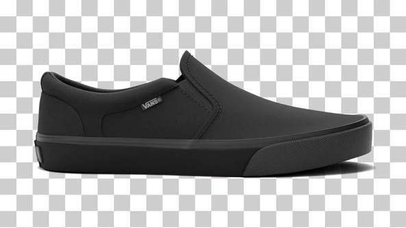 Vans MN Asher Erkek Ayakkabısı VN000SEQ1861