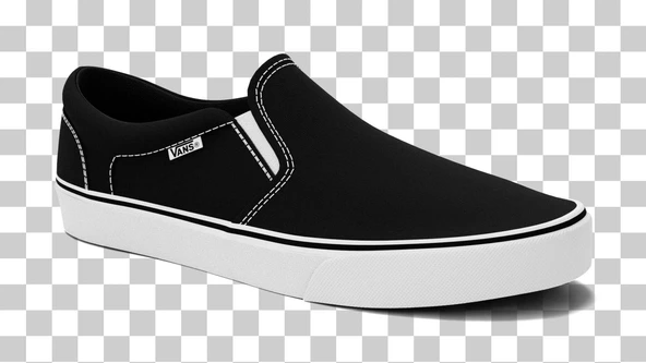 Vans WM Asher  Kadın Ayakkabısı VN0A32QM1871 - 2