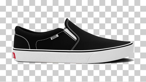 Vans WM Asher  Kadın Ayakkabısı VN0A32QM1871