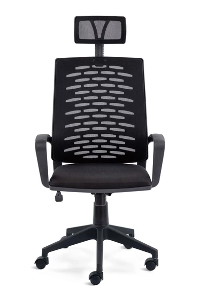 SERS MOBİLYA Panorama Fileli Müdür Koltuğu Ofis Fileli Koltuğu Başlıklı Büro Ofis Koltuğu - 3