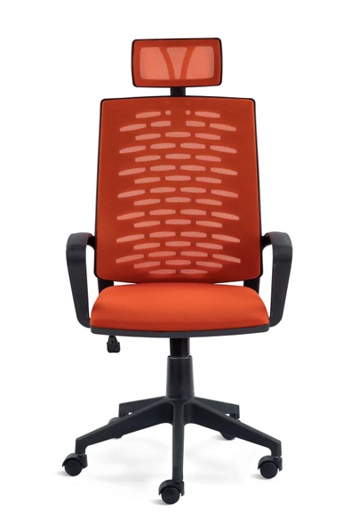 SERS MOBİLYA Panorama Fileli Müdür Koltuğu Ofis Fileli Koltuğu Başlıklı Büro Ofis Koltuğu - 3