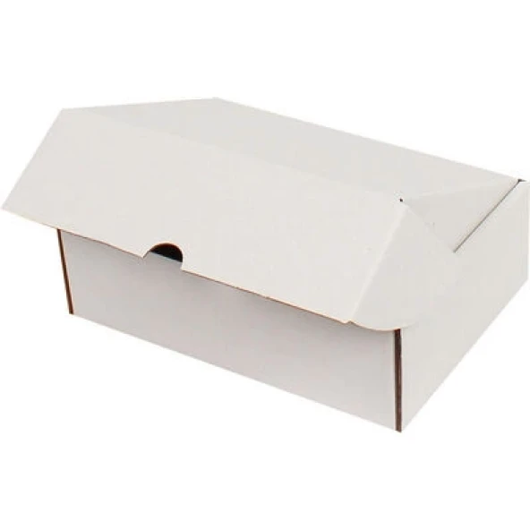 20x13x3,8cm Kilitli Kutu - Beyaz