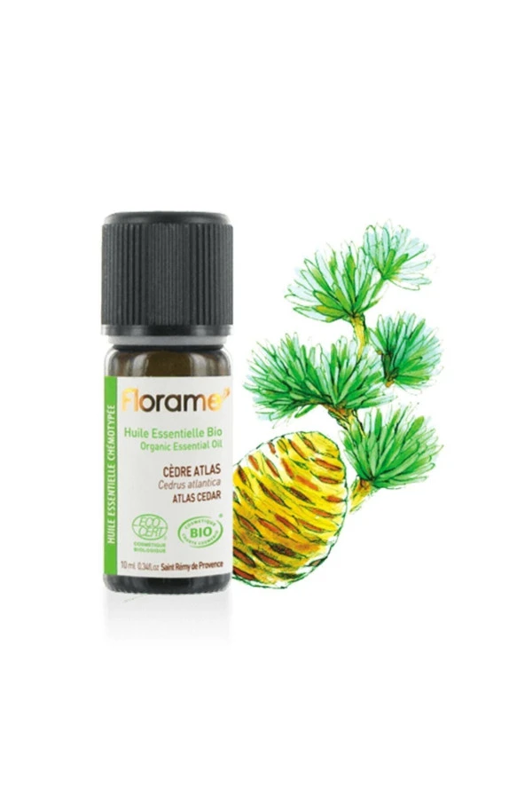 Sedir (CEDRUS ATLANTİCA)-10 ml