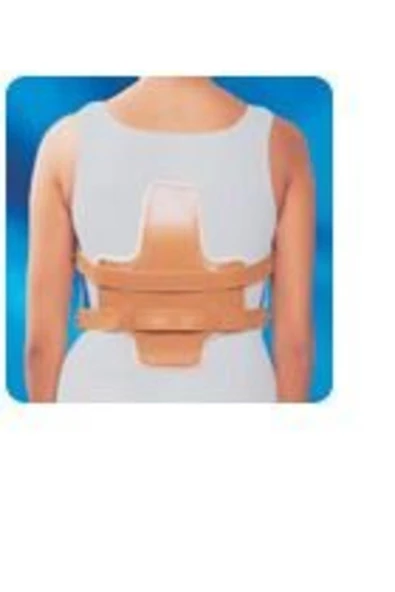 Jeweet Korse Jeweet Hyperextansion Korse Gövde Yüksekliği 50--60 cm MEDİUM - 3