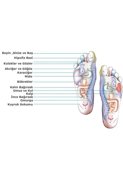 Bio Concept Tabanlık Baylar İçin 40-45 Numara Ayak - 4