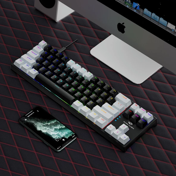Valkyrie Blue Switch Dark Alien K710 71 Tuş RGB Gaming Klavye - Mekanik Mavi Tuş Type-C  - 2 Kademe Yükseklik BeyazSiyah - 5