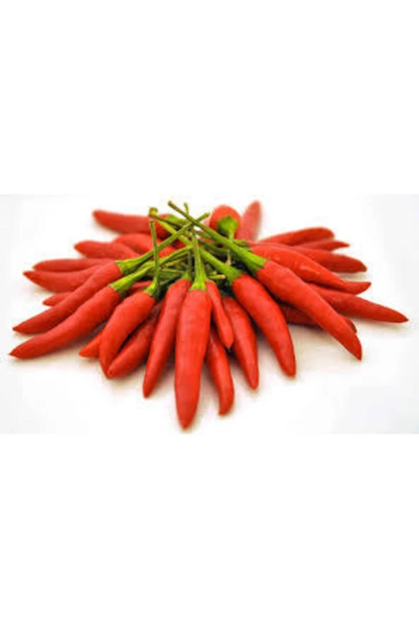 100 Eko Paket Arnavut Biberi Tohumu - Resim 3