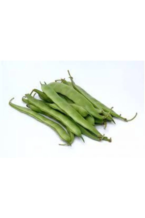 100 Adet Tohum Eko Paket Istanbul Boncuk Ayşe Kadın Kılçıksız Fasulye Tohumu Sürpriz Hediye Tohum - 3