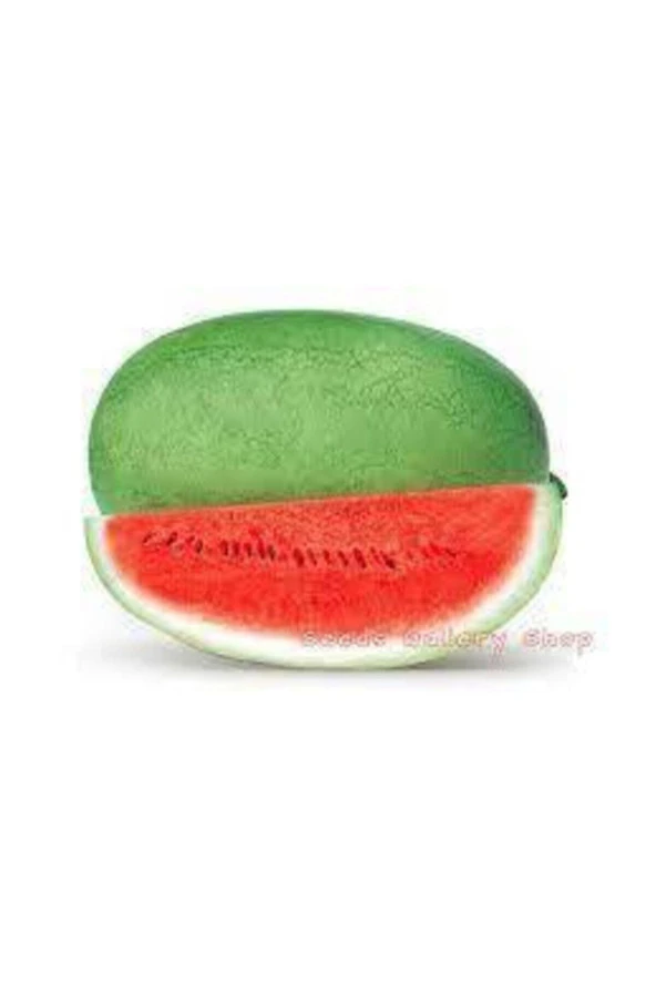 35 Adet Tohum Nadir Çarliston Charliston Gray Dev Karpuz Tohumu Çarliston Gray Sürpriz Hediye Tohum - 2